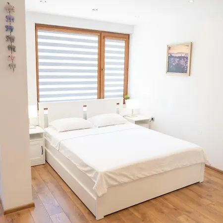 Apartment Shushi's
